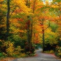 William Thomas (Billy) Bell III