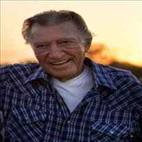 Hubert Wesley Anderson