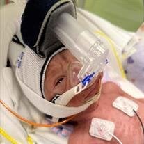Jimmy Louis Crosswell IV