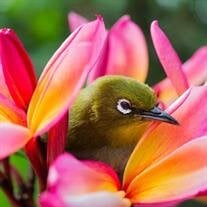 Mary "Kathy" Katherine Reed