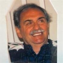 Mr. Michael L. Leo