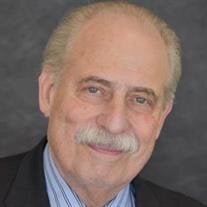 David Bernard Turkel
