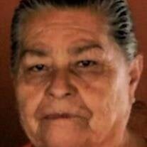 Elvia Esquivel Guerrero