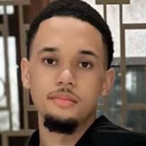Mr. Marcus James Holland Jr.
