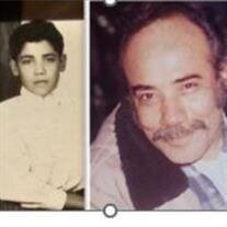 Luis M. Ayala
