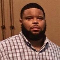 Mr. Brandon James Ford