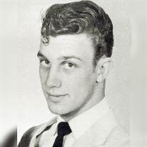 Lawrence Ray Palmiter
