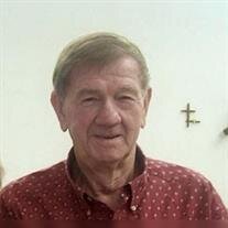 Ronald J Honegger