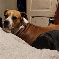 Missy