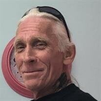 Mr. Donald Williams