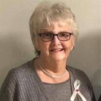 Joyce Ann Ulch