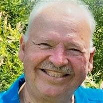 Stephen Raymond Plamondon