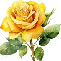 Shirley Watson Braswell