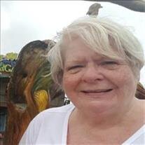 Vicki Jean Arms