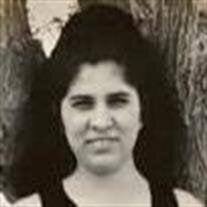 Alicia Vann Cerda