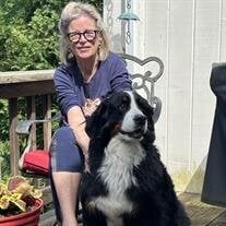 Marianne Gable DDS