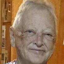 Shirlie Ann Windham Seals