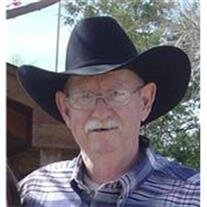 Bill Flueckiger