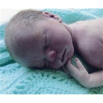 Carter Dillon Crone