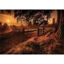 James Melton Higginbotham