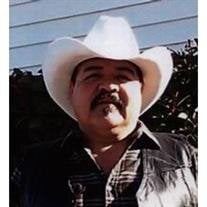 Jose Guadalupe Rocha