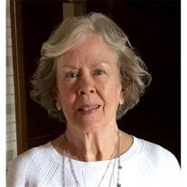 Carol Andes
