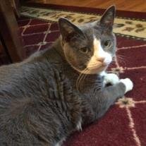 Bootsie Jones