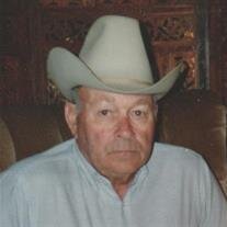 Raymond "Budgie" Zbitowsky