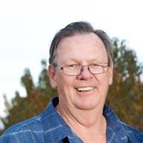 Ned L Opheikens
