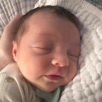 Aria Josephine Dozler