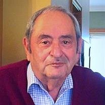 Louis E. Vercillo