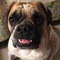 Oakley