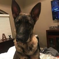 Jax Ackors