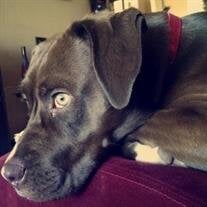 Riley