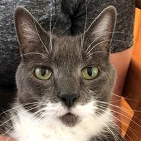 Jacques Yedloutschnig