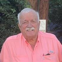 Paul S Wells