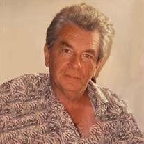 Alan L. Magnes