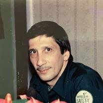 Martin A. Bellingeri