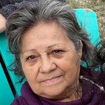 Guadalupe G. Saucedo