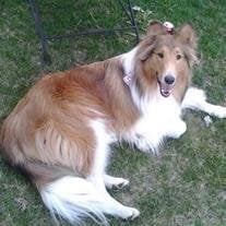 Kimber