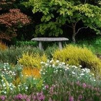 Jeannine Young George