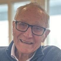 LOUIS NICOLINI