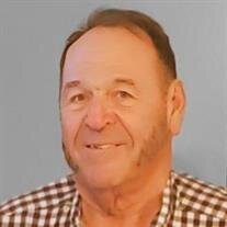 Alan R. Nourie