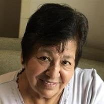 Mrs. Josefina Trejo Alvarez of Elgin