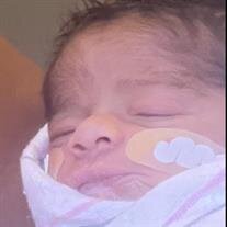 Gi'Onni Louis Scott Henegar