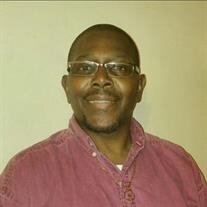 Willie D. Stevenson Jr.