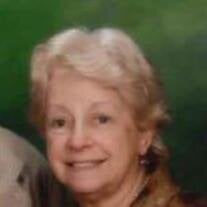 Diane Klieger Feibel