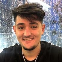 Arian Zamani