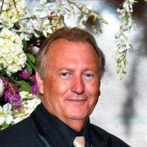 Mark F Stitt