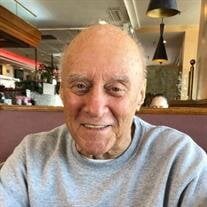 Mr. William A. Immenhausen of Hoffman Estates